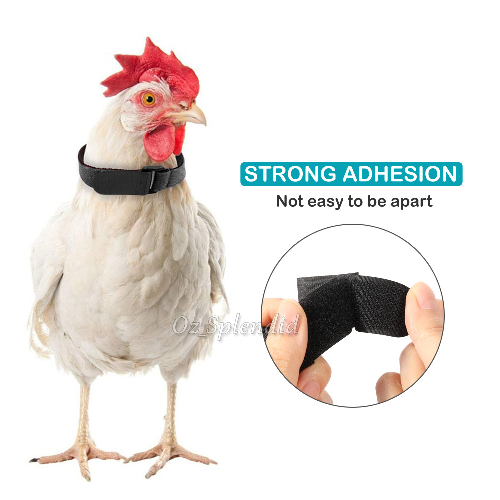 10PCS Anti Crow Collar for Roosters Cockerel No Crow Noise Neck Belt