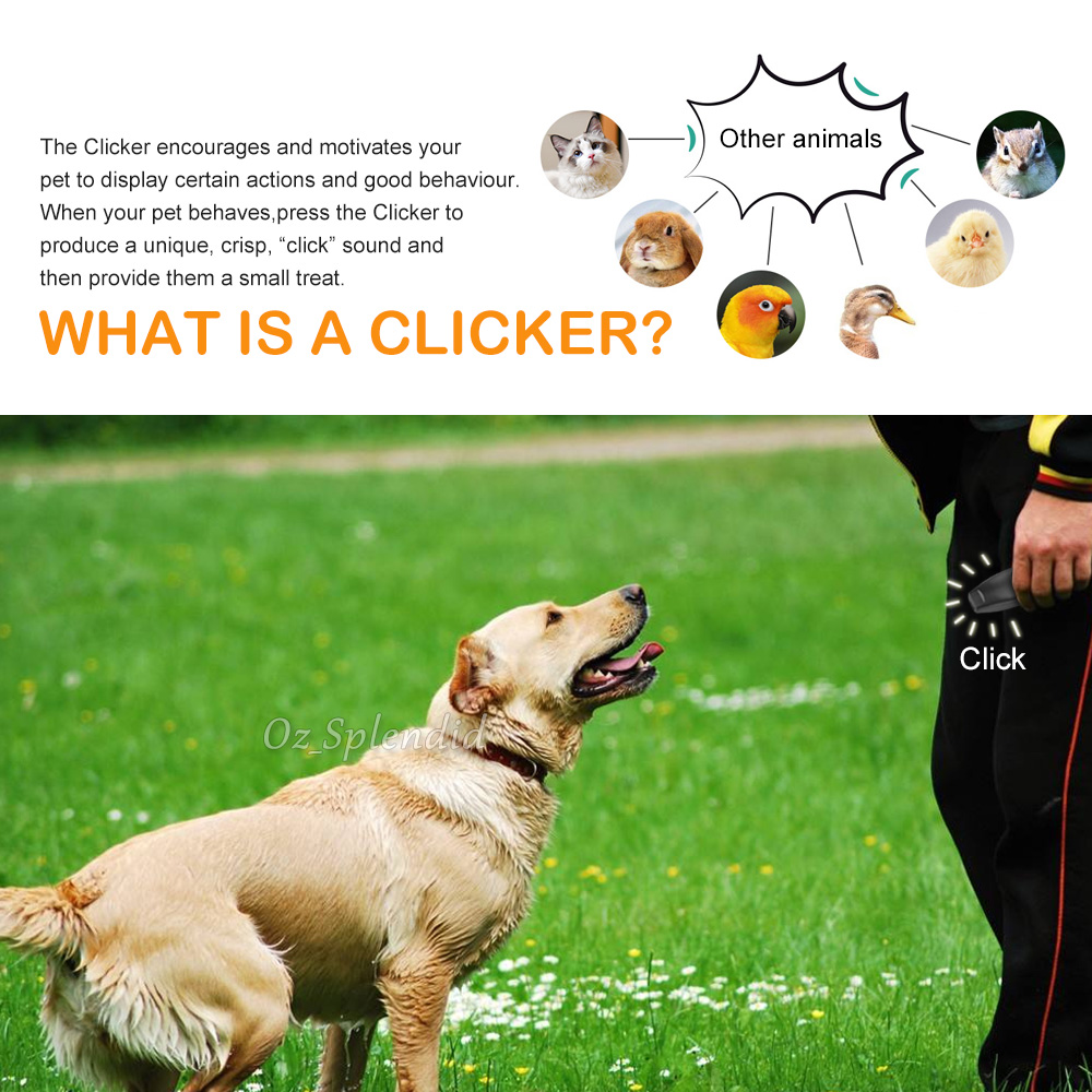 Dog Training Whistle Clicker Combo to Stop Pet Barking Obedience Train