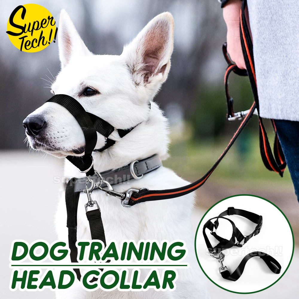 Dog Training Head Collar Halter Stop Pulling Training Tool Harness